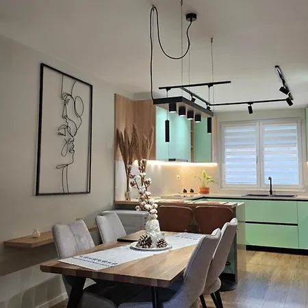 Elegant One Bedroom Myslym Shyri * Tirana