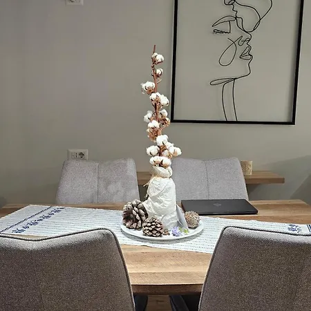 Lejlighed Elegant One Bedroom Myslym Shyri Tirana